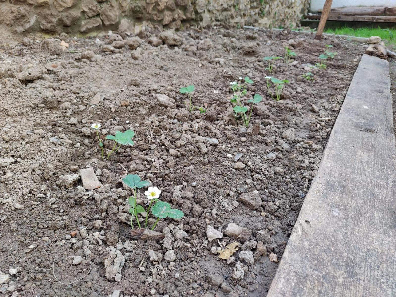 Sefin Villasi Pansiyon Antalya