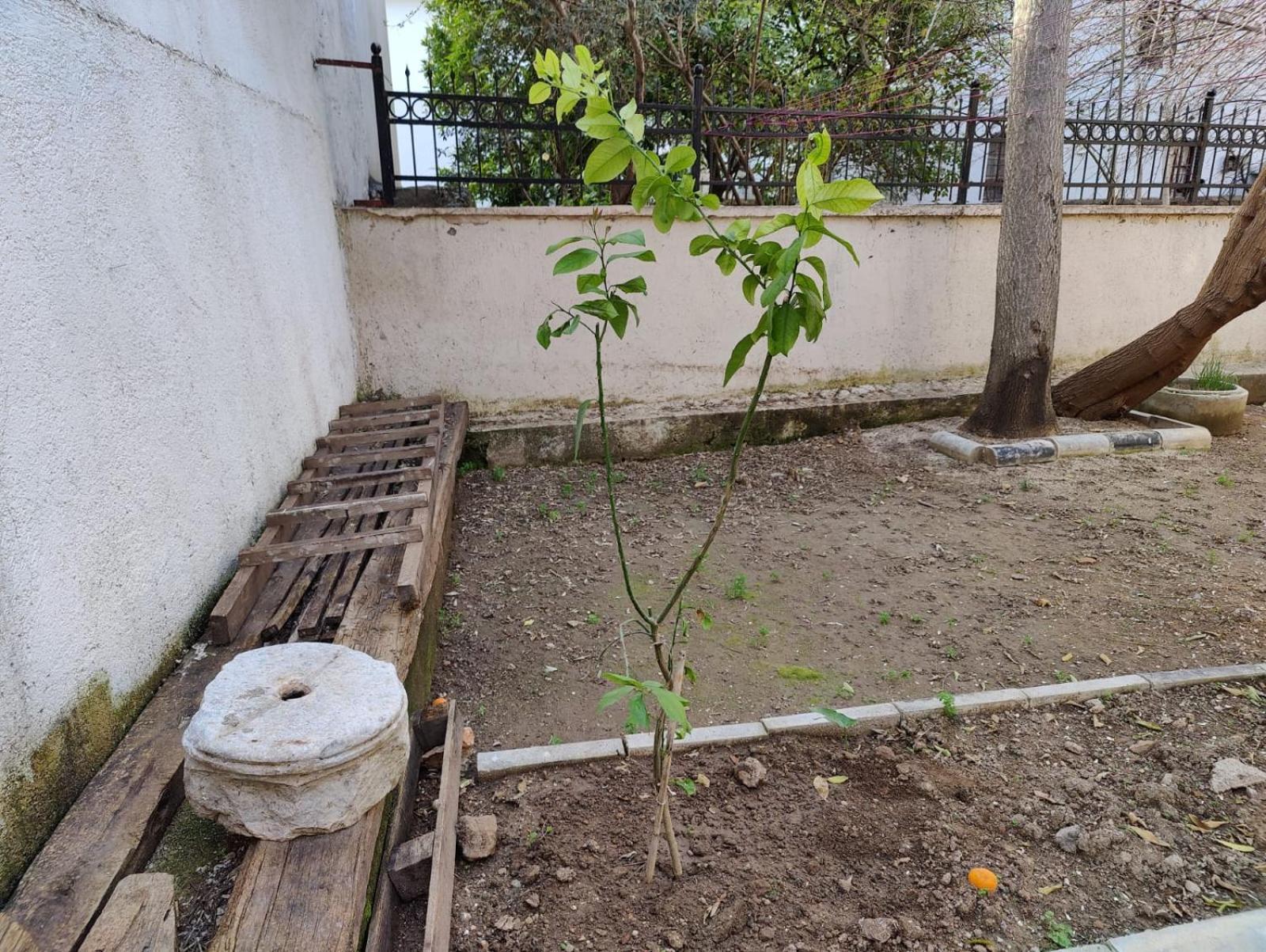 Pansiyon Sefin Villasi *