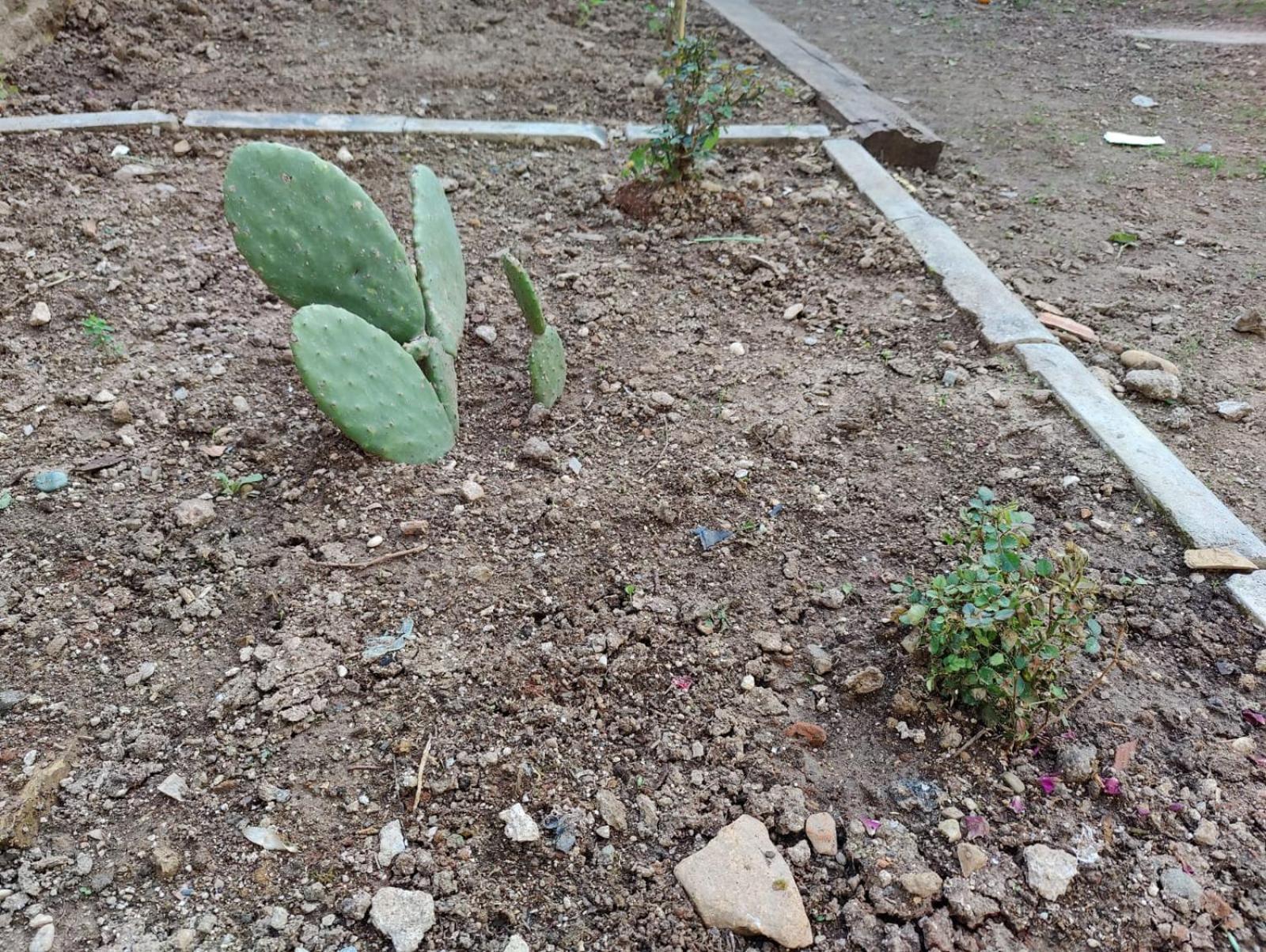 Sefin Villasi Pansiyon *